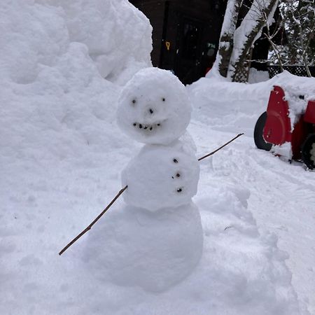 Hakuba Cottage Gram Eksteriør billede
