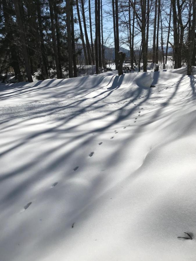 Hakuba Cottage Gram Eksteriør billede