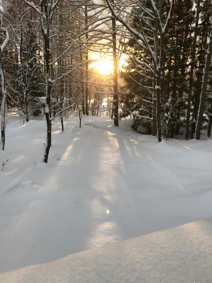 Hakuba Cottage Gram Eksteriør billede
