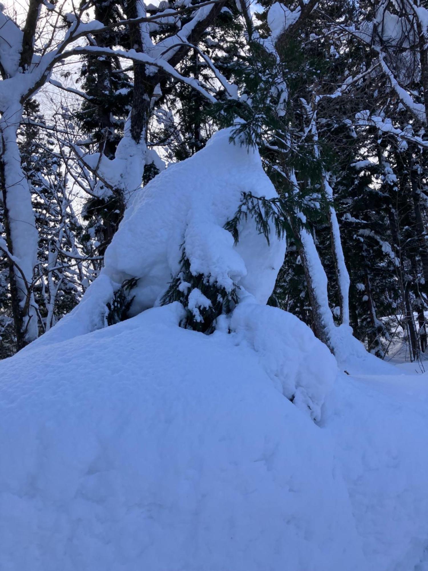 Hakuba Cottage Gram Eksteriør billede