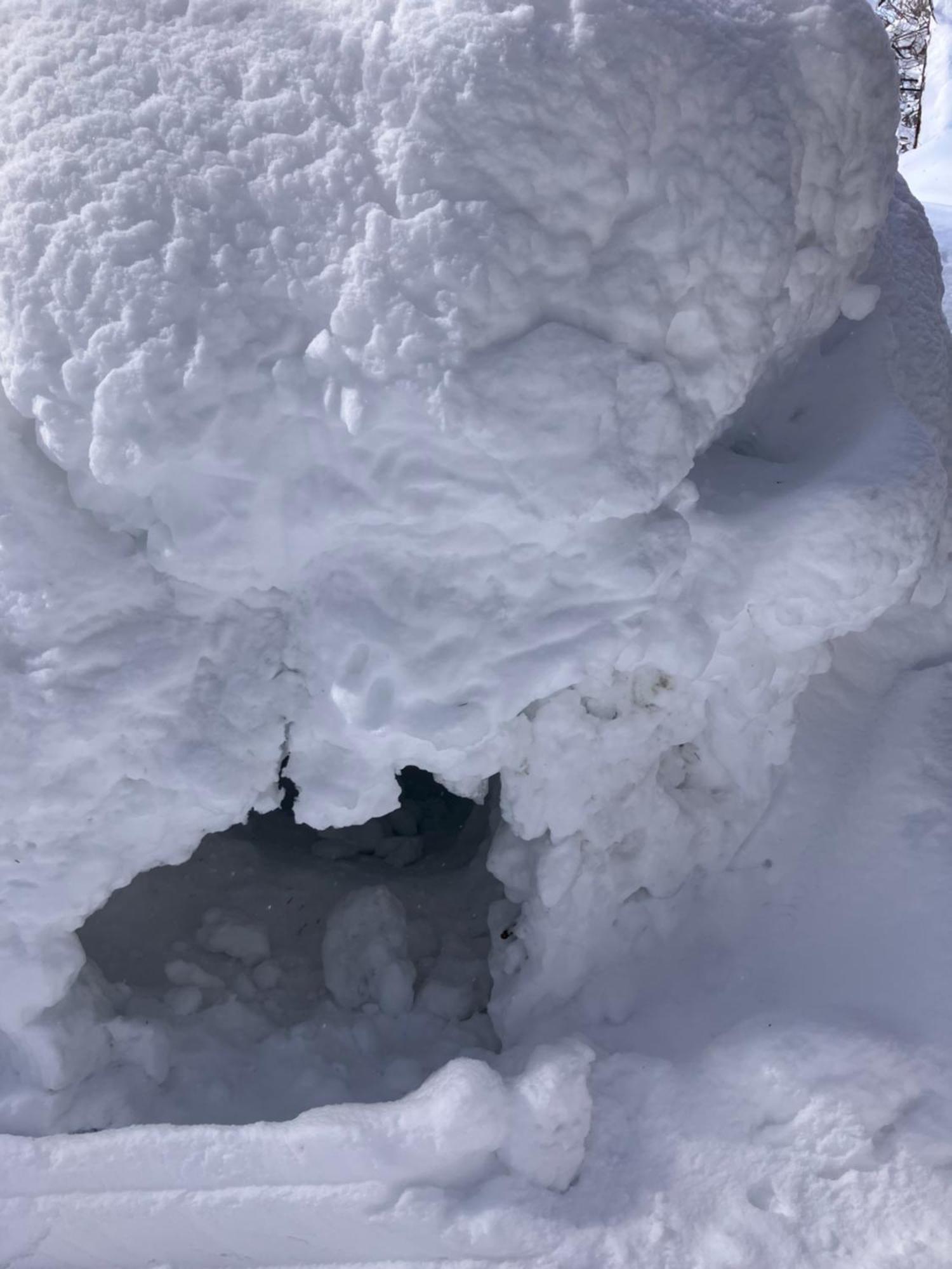 Hakuba Cottage Gram Eksteriør billede