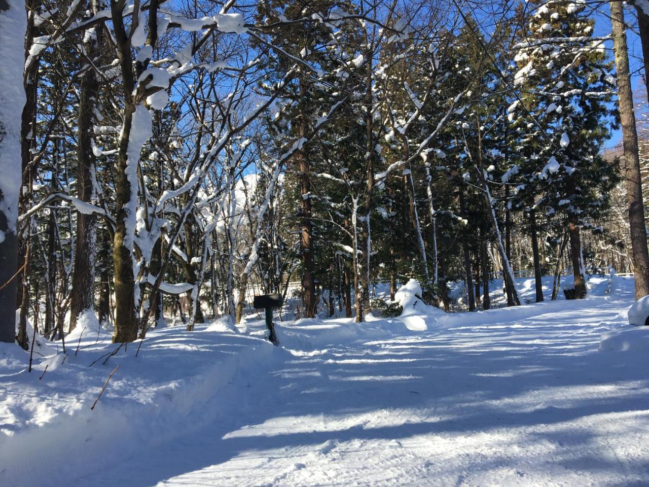 Hakuba Cottage Gram Eksteriør billede