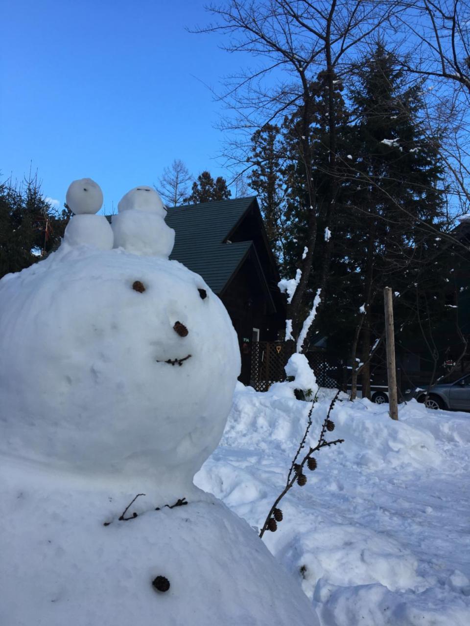 Hakuba Cottage Gram Eksteriør billede
