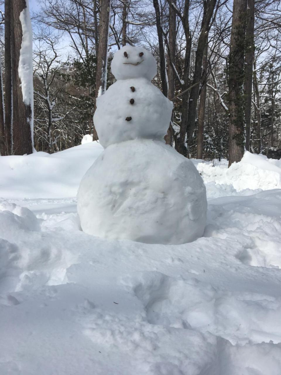Hakuba Cottage Gram Eksteriør billede
