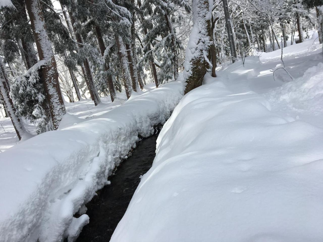 Hakuba Cottage Gram Eksteriør billede