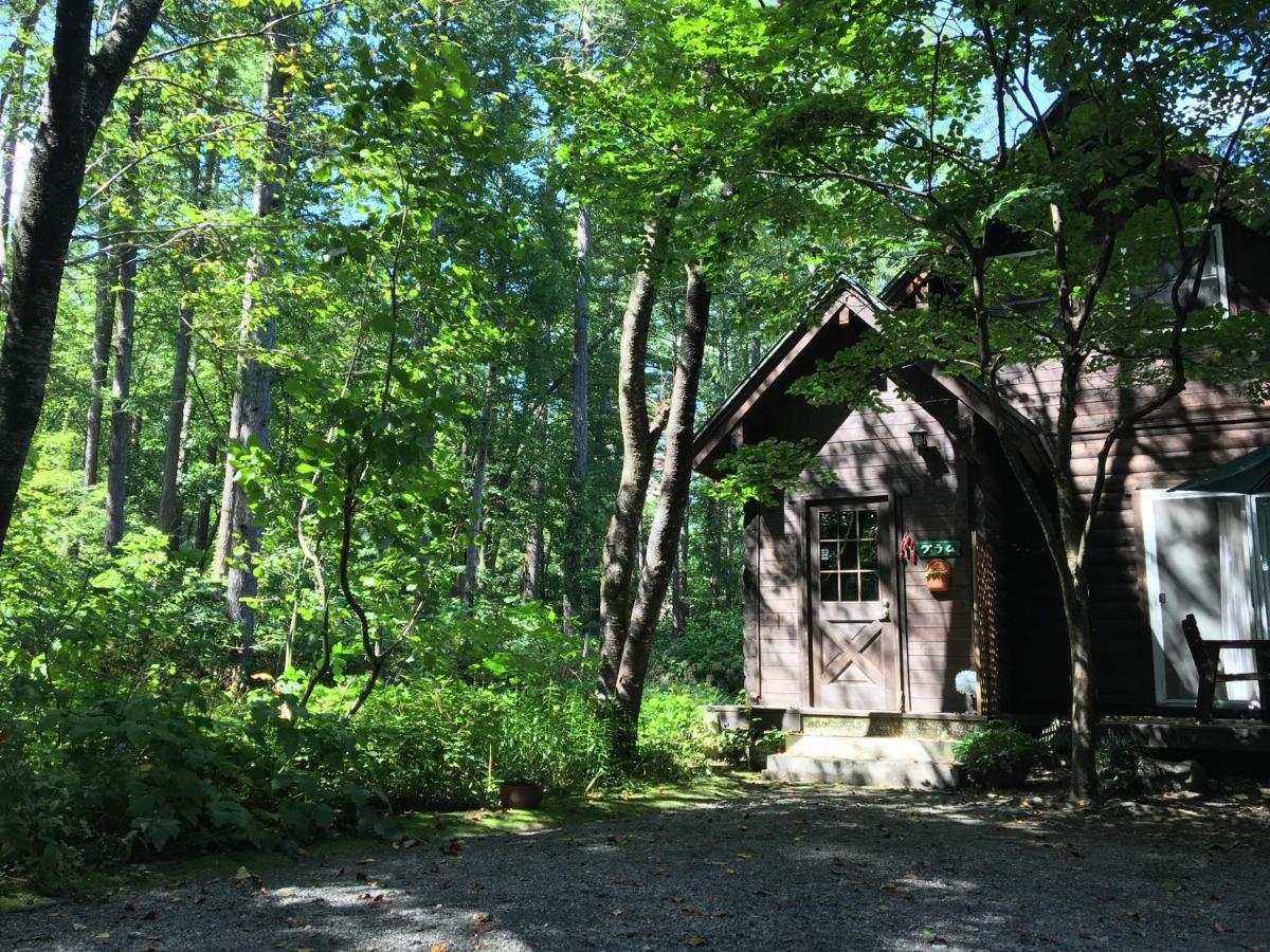 Hakuba Cottage Gram Eksteriør billede
