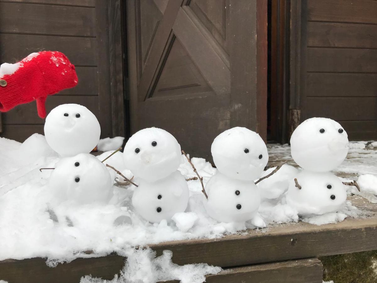 Hakuba Cottage Gram Eksteriør billede